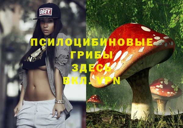 spice Арсеньев