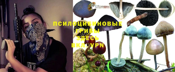 гашишное масло Аркадак