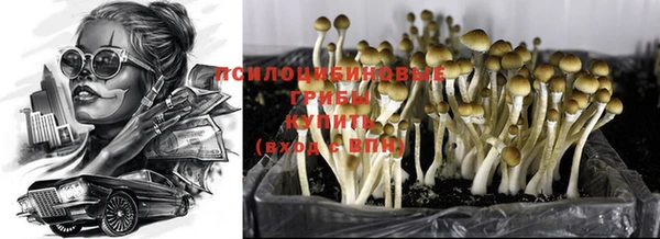 ALPHA-PVP Армянск