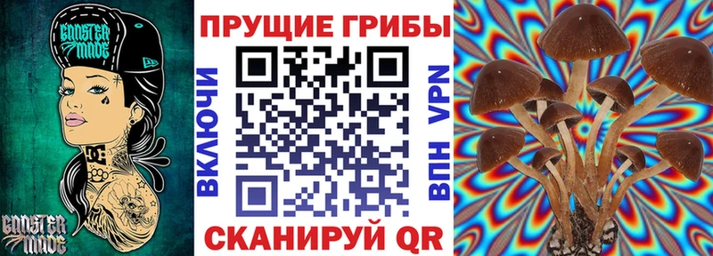 Галлюциногенные грибы ЛСД  Мурино 